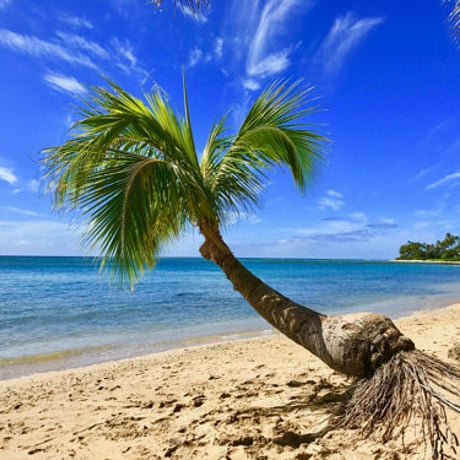 ISLANDER/アイランダーPhotography写真 『Love The Island 』2Lサイズ