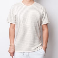ISLANDER/アイランダー ボーダーTシャツ/グレー