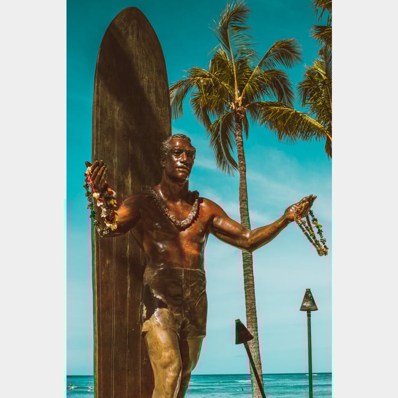 Jess Loiterton × ISLANDER Hawaiian Metal Print