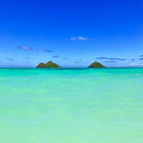 ISLANDER/アイランダーPhotography写真 『Hi Blue 』A4サイズ