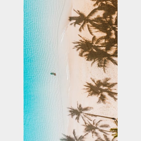 Jess Loiterton × ISLANDER Hawaiian Metal Print Art『Palmy Days』