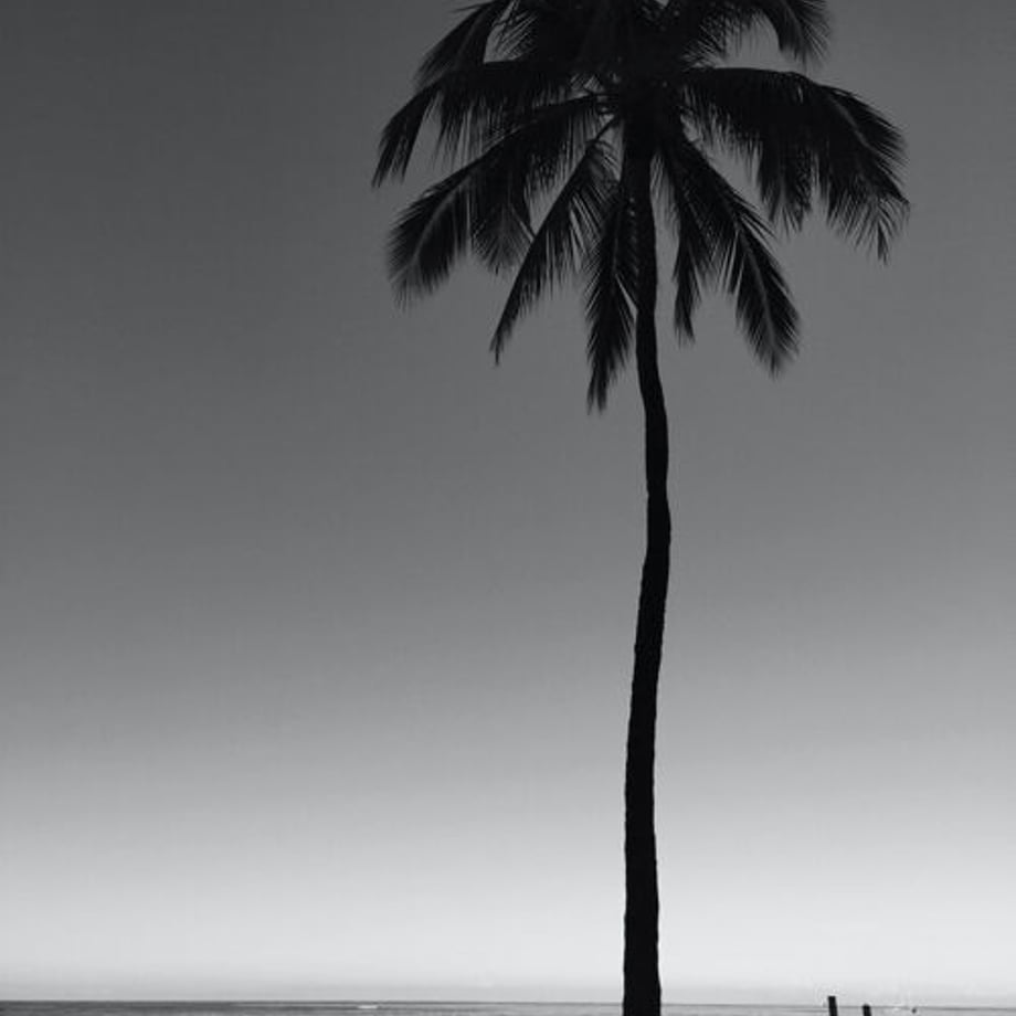 618155fe0548e05fd708ff28