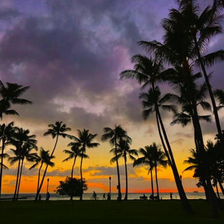 ISLANDER/アイランダーPhotography写真 『Orange Days 』2Lサイズ