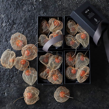 Botanical box winter cherry (skeleton)