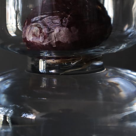 hyacinth bulb vase B