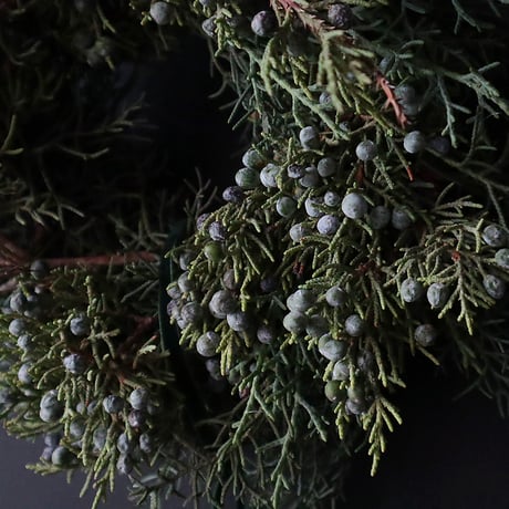 christmas wreath (juniper)