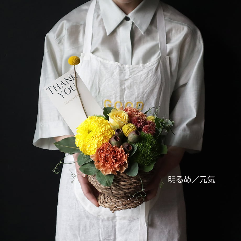 67fb6391953729c2096eb154