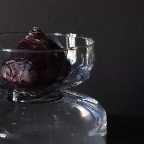 hyacinth bulb vase B