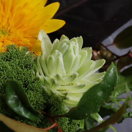 Father'sDay 2025 flower arrangement