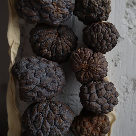ata fruits ornament (M)