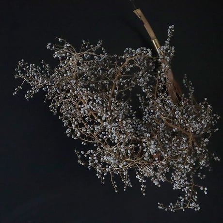 Seed of Syuro D