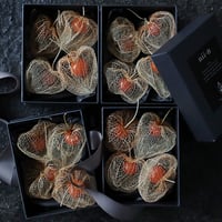 Botanical box winter cherry (skeleton)