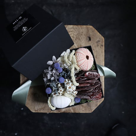 sea urchin shell box flower