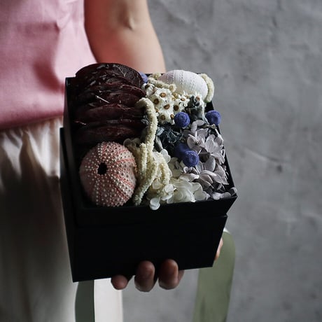 sea urchin shell box flower