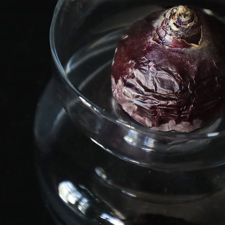 hyacinth bulb vase B