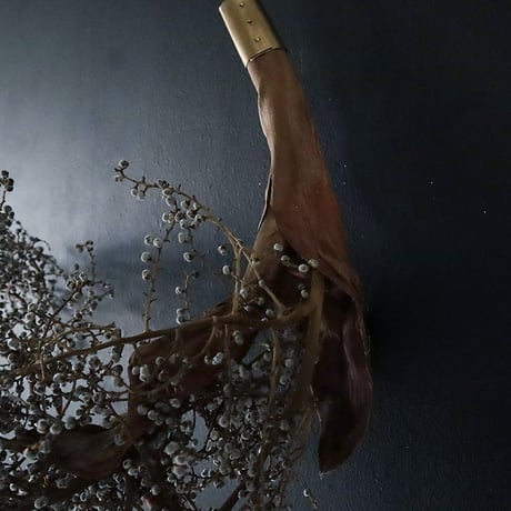 Seed of Syuro D