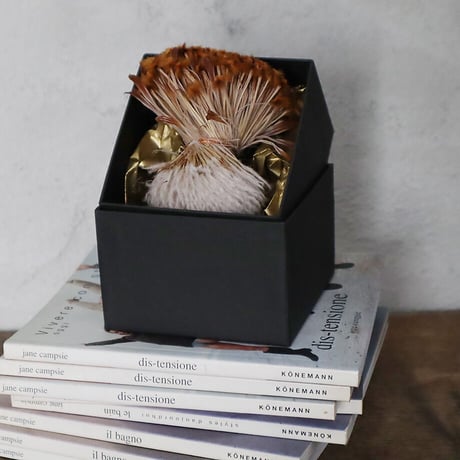 Botanical box protea