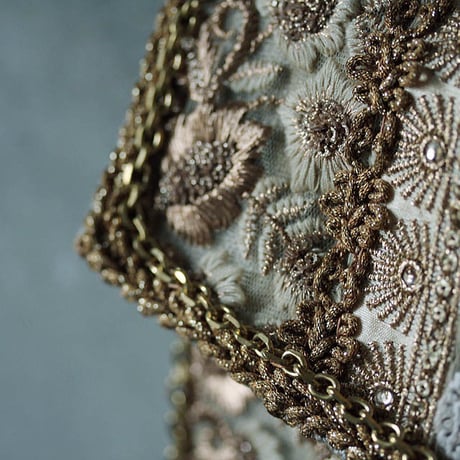 wild rose hips  lacegold bag