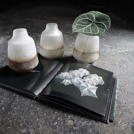 flower glassbase shellted
