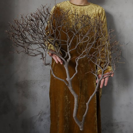 Branch Doudan E