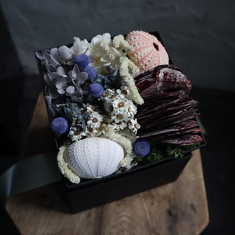 sea urchin shell box flower