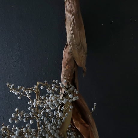 Seed of Syuro A