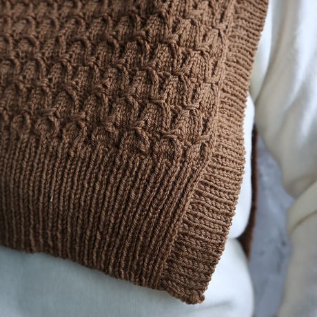 chiihao x nii-B  rambouillet vest (brown)