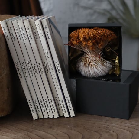 Botanical box protea