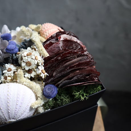 sea urchin shell box flower