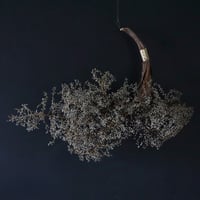 christmas wreath (oval:red) | nii-B | WEBSHOP