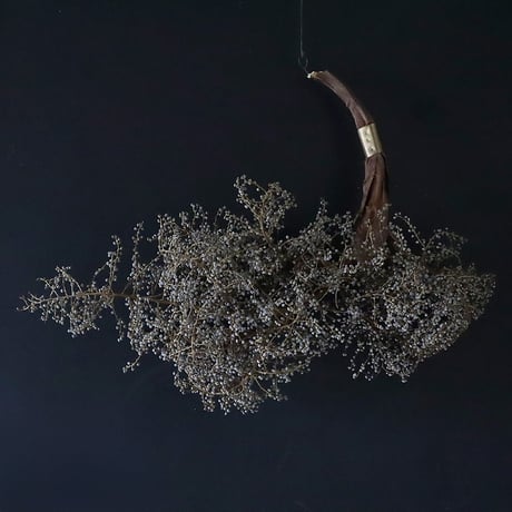 Seed of Syuro E