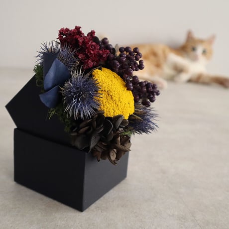 dry flower box (S)