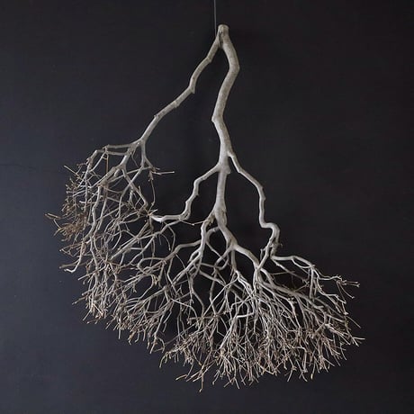 Branch Doudan E