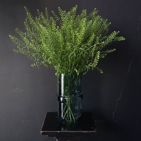 deep blue flower vase