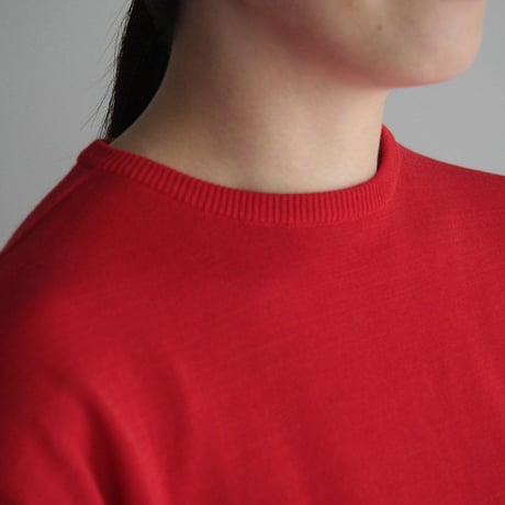 1dozen  crew neck  knit (red)