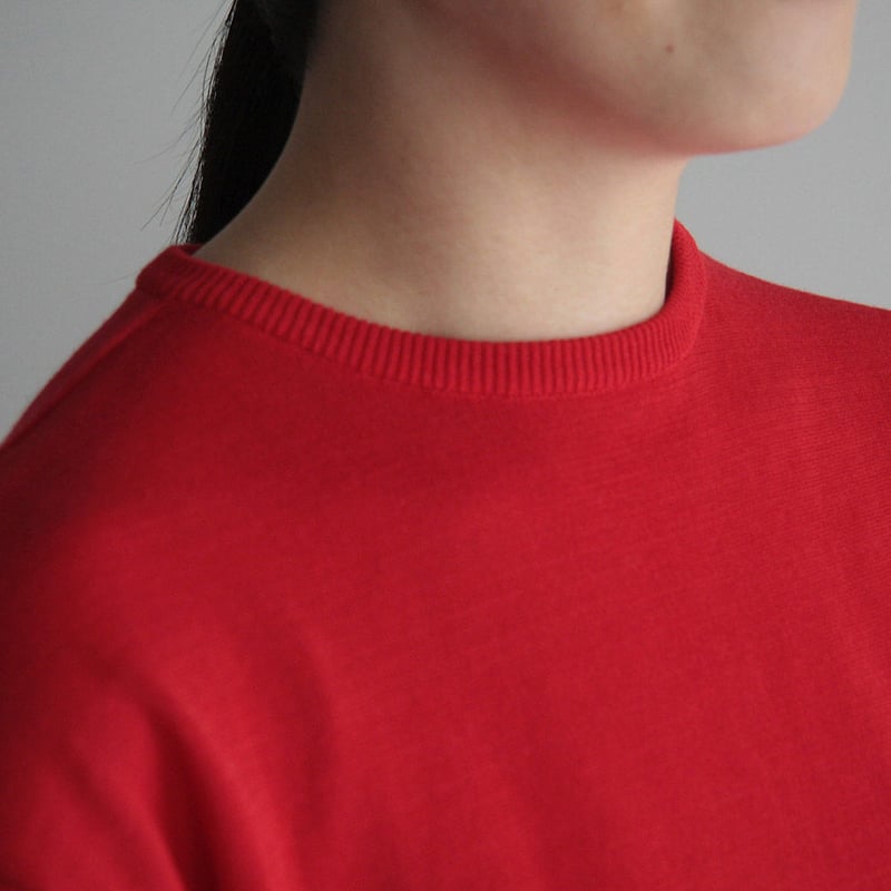 1dozen crew neck knit (red) | nii-B | WEBSHOP