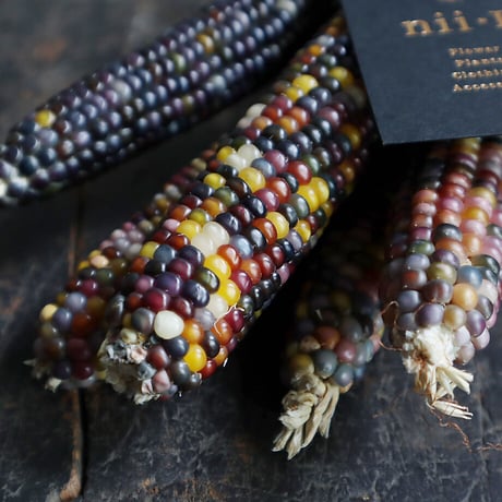 glass jem corn (5P)