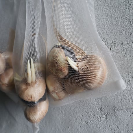 Saffron 5bulbs x 2 set