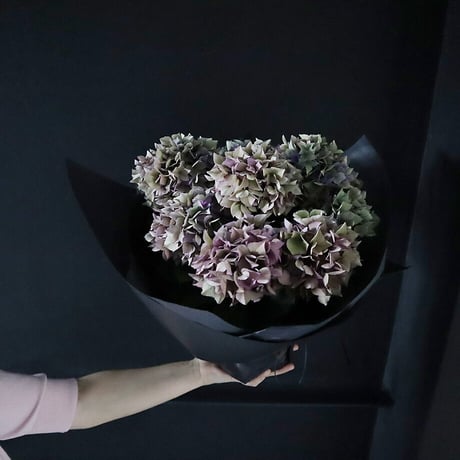 hydrangea (purple splendor)