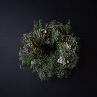christmas wreath (brunia)