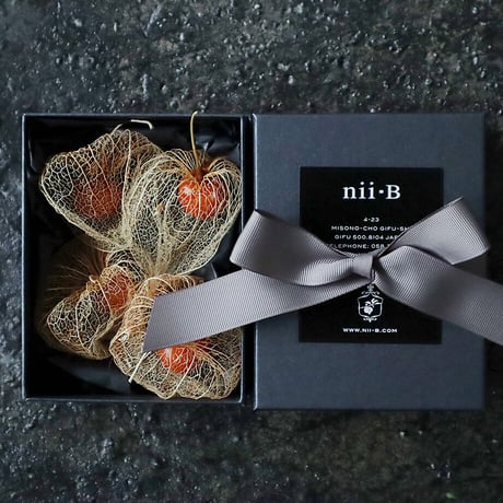 Botanical box winter cherry (skeleton)