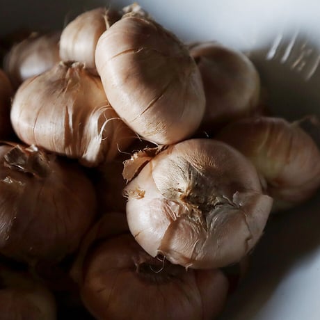 Saffron 5bulbs x 2 set