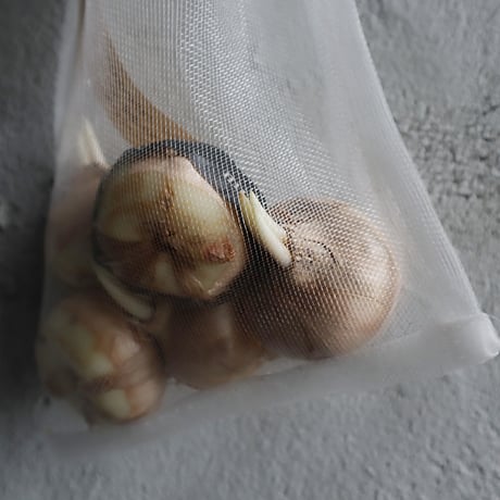Saffron 5bulbs x 2 set