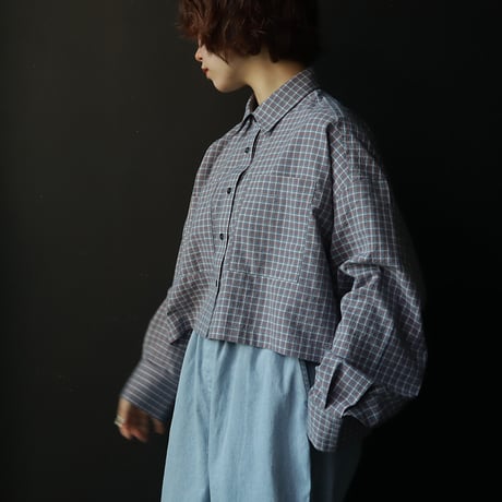 ànuke Check Short Shirts (blue)