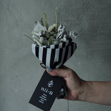 Shi-shi shichijyuniko X nii-B gift set