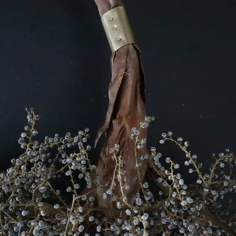 Seed of Syuro E