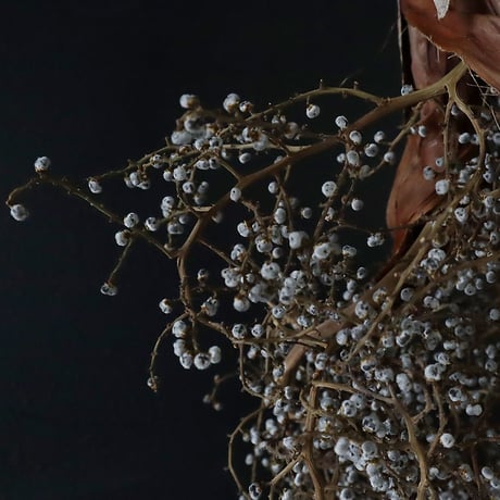 Seed of Syuro B