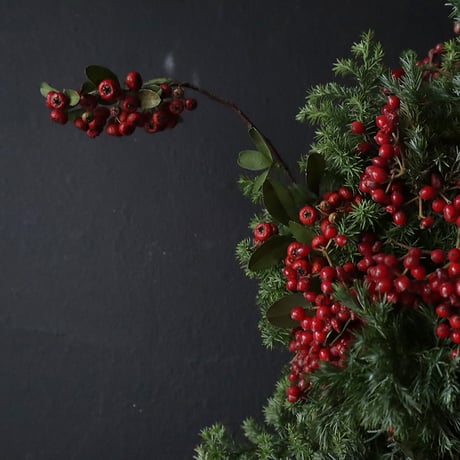 christmas wreath (red viburnum)