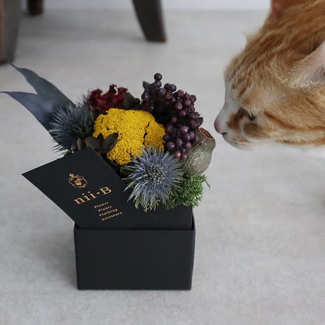 dry flower box (S)