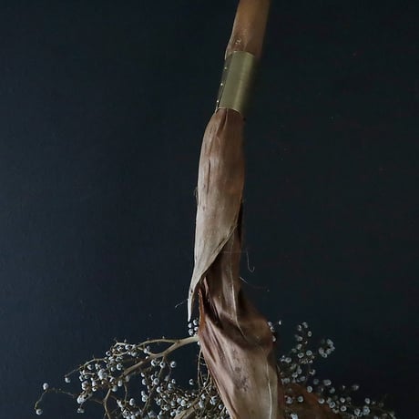 Seed of Syuro B